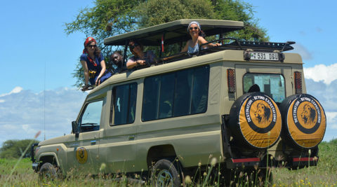 11 Days 10 Nights Ngorongoro Highlands Trreking