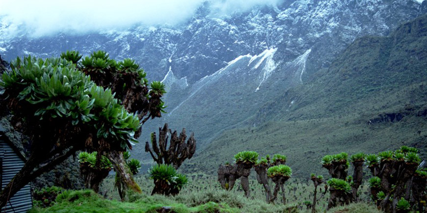 Rwenzori Mountains National Park