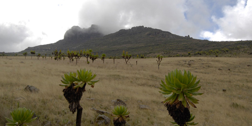 Mount Elgon National Park