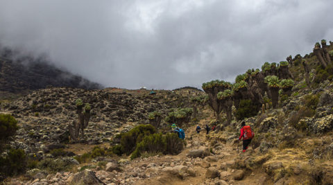 Machame Route – 6 days 5 nights