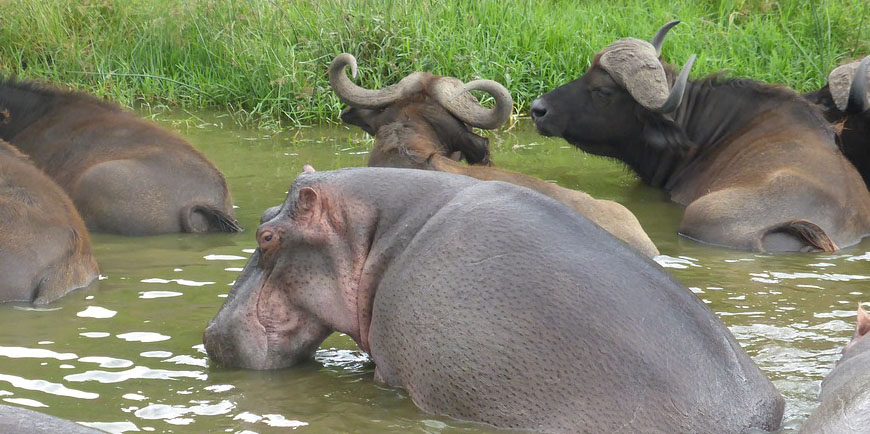 Lake Mburo National Park